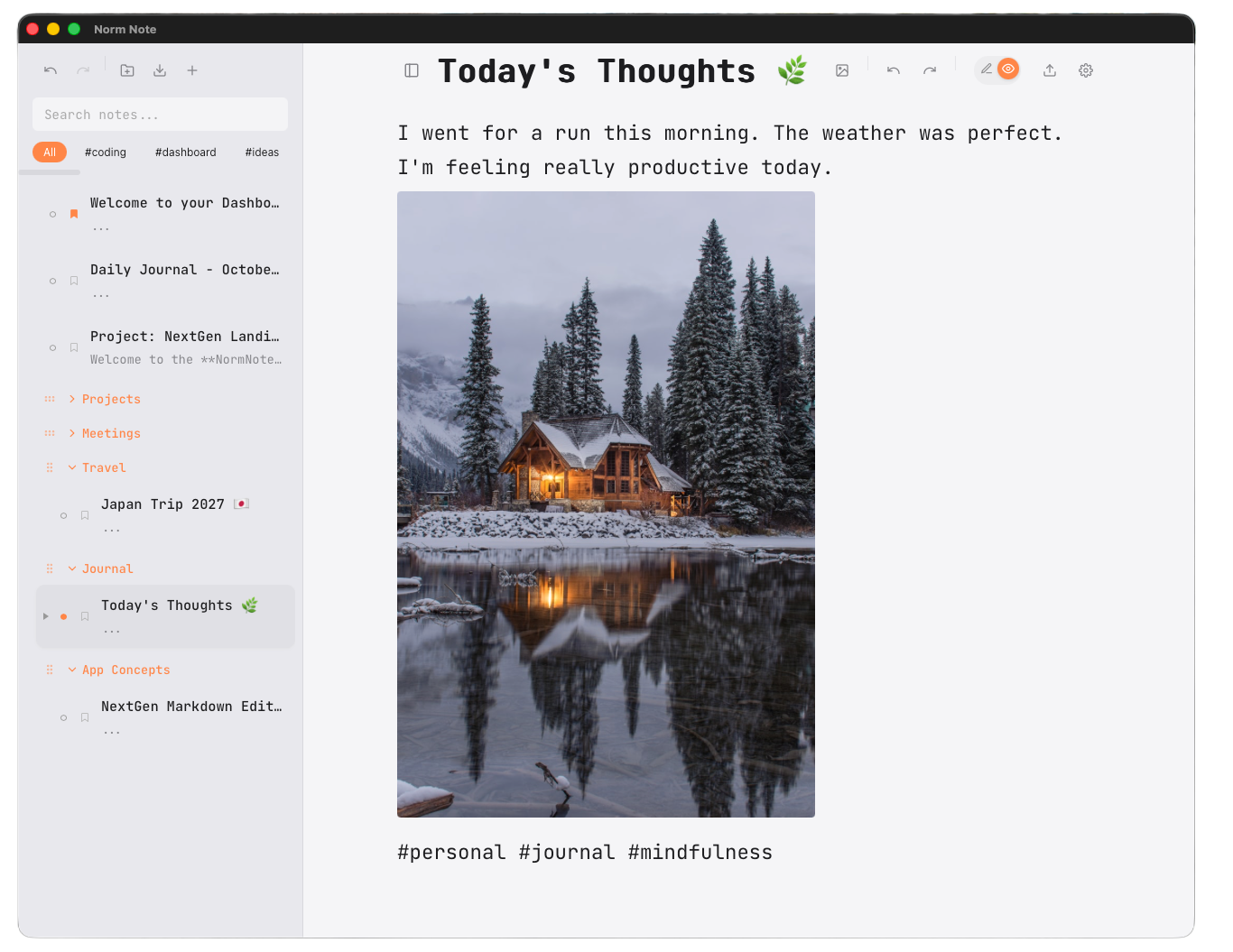 NormNote Main Editor Overview